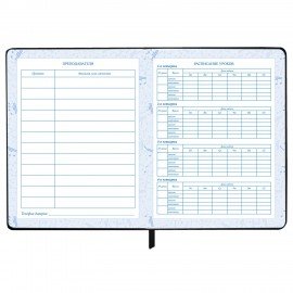 Дневник для музыкальной школы 48л, обложка кожзам твердая, фольга, BRAUBERG, черный КЛАССИКА, 107369