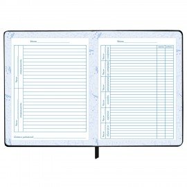 Дневник для музыкальной школы 48л, обложка кожзам твердая, фольга, BRAUBERG, черный КЛАССИКА, 107369