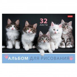 Альбом д/рис. А4 32л., скоба, обложка картон, HATBER, 205х290мм, Ассорти-Выпуск №4 (5 видов), 32А4Вя