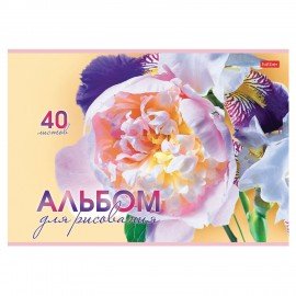 Альбом д/рис. А4 40л., скоба, обложка картон, HATBER, 205х290мм, Грация цветов, 40А4В