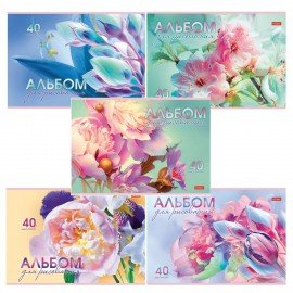 Альбом д/рис. А4 40л., скоба, обложка картон, HATBER, 205х290мм, Грация цветов, 40А4В