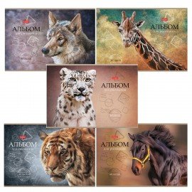Альбом д/рис. А4 48л., скоба, матовая ламинация, тиснение, HATBER, 205х290мм, Дикий мир, 48А4лтВ