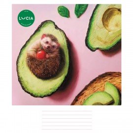 Тетрадь 24л. HATBER клетка, обложка картон, Узнай себя! (микс в спайке), 24Т5В1