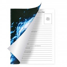 Дневник 1-11 класс 40л, на скобе, ПИФАГОР, обложка картон, МИКС Универсальный, 107578