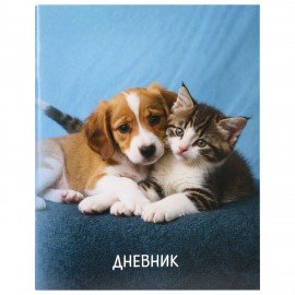 Дневник 1-11 класс 40л, на скобе, ПИФАГОР, обложка картон, МИКС Универсальный, 107578