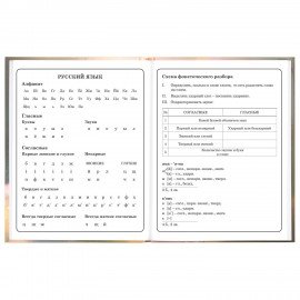 Дневник 1-4 класс 48л, твердый, ЮНЛАНДИЯ, глянцевая ламинация, с подсказом, Хомяк, 107579