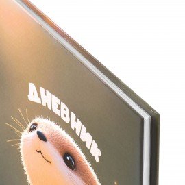 Дневник 1-4 класс 48л, твердый, ЮНЛАНДИЯ, глянцевая ламинация, с подсказом, Хомяк, 107579