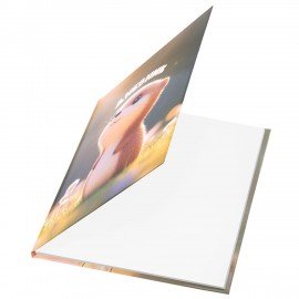 Дневник 1-4 класс 48л, твердый, ЮНЛАНДИЯ, глянцевая ламинация, с подсказом, Хомяк, 107579