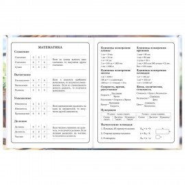 Дневник 1-4 класс 48л, твердый, ЮНЛАНДИЯ, глянцевая ламинация, с подсказом, МИКС УНИВЕРСАЛЬНЫЙ, 107580