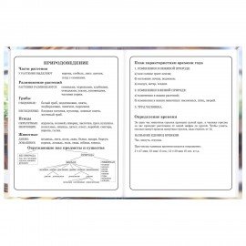 Дневник 1-4 класс 48л, твердый, ЮНЛАНДИЯ, глянцевая ламинация, с подсказом, МИКС УНИВЕРСАЛЬНЫЙ, 107580