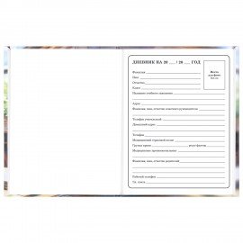 Дневник 1-4 класс 48л, твердый, ЮНЛАНДИЯ, глянцевая ламинация, с подсказом, МИКС УНИВЕРСАЛЬНЫЙ, 107580