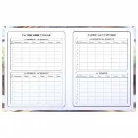 Дневник 1-4 класс 48л, твердый, ЮНЛАНДИЯ, глянцевая ламинация, с подсказом, МИКС УНИВЕРСАЛЬНЫЙ, 107580