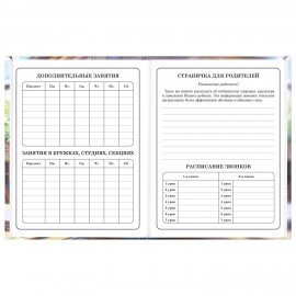 Дневник 1-4 класс 48л, твердый, ЮНЛАНДИЯ, глянцевая ламинация, с подсказом, МИКС УНИВЕРСАЛЬНЫЙ, 107580