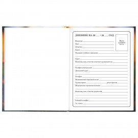 Дневник 1-4 класс 48л, твердый, ЮНЛАНДИЯ, глянцевая ламинация, с подсказом, Котёнок, 107581