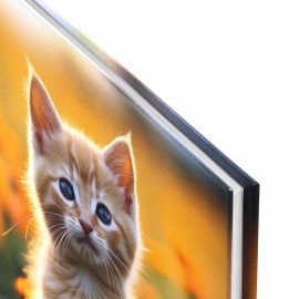 Дневник 1-4 класс 48л, твердый, ЮНЛАНДИЯ, глянцевая ламинация, с подсказом, Котёнок, 107581