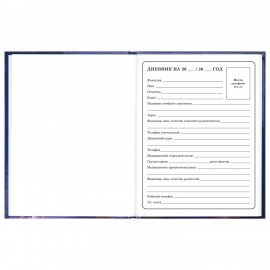 Дневник 1-4 класс 48л, твердый, ЮНЛАНДИЯ, глянцевая ламинация, с подсказом, Принцесса, 107582