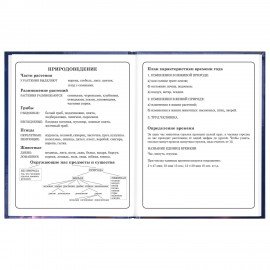 Дневник 1-4 класс 48л, твердый, ЮНЛАНДИЯ, глянцевая ламинация, с подсказом, Принцесса, 107582