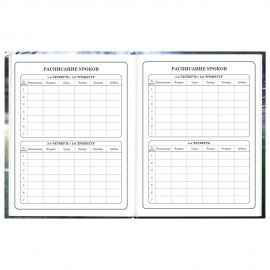 Дневник 1-4 класс 48л, твердый, ЮНЛАНДИЯ, глянцевая ламинация, с подсказом, Футбол, 107583