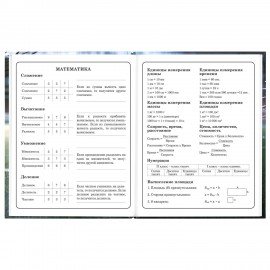 Дневник 1-4 класс 48л, твердый, ЮНЛАНДИЯ, глянцевая ламинация, с подсказом, Футбол, 107583