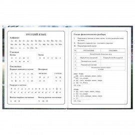 Дневник 1-4 класс 48л, твердый, ЮНЛАНДИЯ, глянцевая ламинация, с подсказом, Футбол, 107583