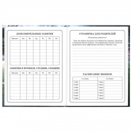 Дневник 1-4 класс 48л, твердый, ЮНЛАНДИЯ, глянцевая ламинация, с подсказом, Футбол, 107583