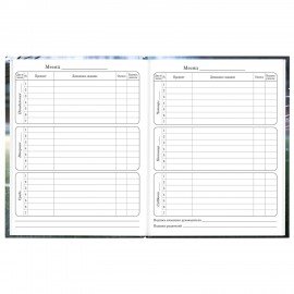 Дневник 1-4 класс 48л, твердый, ЮНЛАНДИЯ, глянцевая ламинация, с подсказом, Футбол, 107583