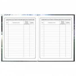 Дневник 1-4 класс 48л, твердый, ЮНЛАНДИЯ, глянцевая ламинация, с подсказом, Футбол, 107583