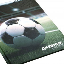 Дневник 1-4 класс 48л, твердый, ЮНЛАНДИЯ, глянцевая ламинация, с подсказом, Футбол, 107583