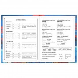 Дневник 1-4 класс 48л, твердый, BRAUBERG, глянцевая ламинация, с подсказом, Футбол, 107585