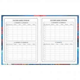 Дневник 1-4 класс 48л, твердый, BRAUBERG, глянцевая ламинация, с подсказом, Футбол, 107585