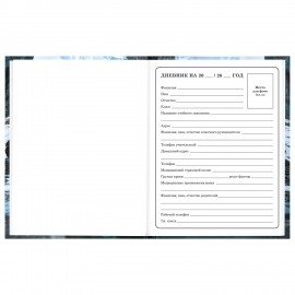 Дневник 1-4 класс 48л, твердый, BRAUBERG, глянцевая ламинация, с подсказом, Джип, 107586