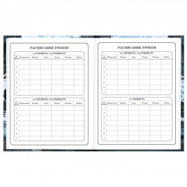 Дневник 1-4 класс 48л, твердый, BRAUBERG, глянцевая ламинация, с подсказом, Джип, 107586