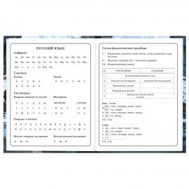 Дневник 1-4 класс 48л, твердый, BRAUBERG, глянцевая ламинация, с подсказом, Джип, 107586