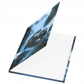 Дневник 1-4 класс 48л, твердый, BRAUBERG, глянцевая ламинация, с подсказом, Джип, 107586