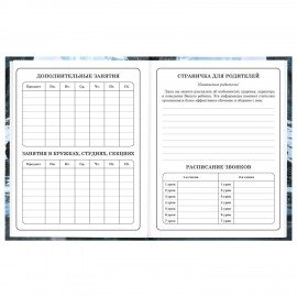 Дневник 1-4 класс 48л, твердый, BRAUBERG, глянцевая ламинация, с подсказом, Джип, 107586