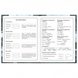 Дневник 1-4 класс 48л, твердый, BRAUBERG, глянцевая ламинация, с подсказом, Джип, 107586