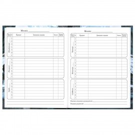 Дневник 1-4 класс 48л, твердый, BRAUBERG, глянцевая ламинация, с подсказом, Джип, 107586