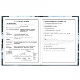 Дневник 1-4 класс 48л, твердый, BRAUBERG, глянцевая ламинация, с подсказом, Джип, 107586