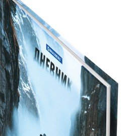 Дневник 1-4 класс 48л, твердый, BRAUBERG, глянцевая ламинация, с подсказом, Джип, 107586