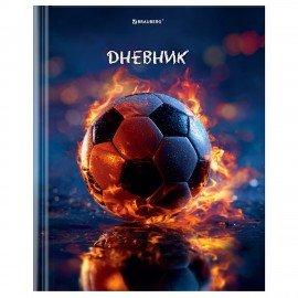 Дневник 1-4 класс 48л, твердый, BRAUBERG, глянцевая ламинация, с подсказом, МИКС УНИВЕРСАЛЬНЫЙ, 107587