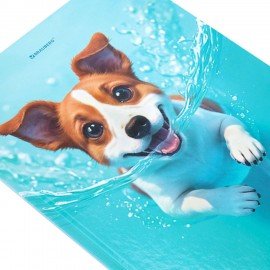 Дневник 1-4 класс 48л, твердый, BRAUBERG, глянцевая ламинация, с подсказом, МИКС УНИВЕРСАЛЬНЫЙ, 107587