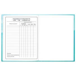 Дневник 1-4 класс 48л, твердый, BRAUBERG, глянцевая ламинация, с подсказом, МИКС УНИВЕРСАЛЬНЫЙ, 107587