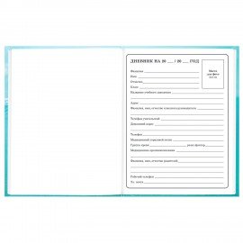 Дневник 1-4 класс 48л, твердый, BRAUBERG, глянцевая ламинация, с подсказом, МИКС УНИВЕРСАЛЬНЫЙ, 107587