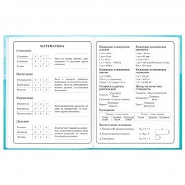 Дневник 1-4 класс 48л, твердый, BRAUBERG, глянцевая ламинация, с подсказом, МИКС УНИВЕРСАЛЬНЫЙ, 107587
