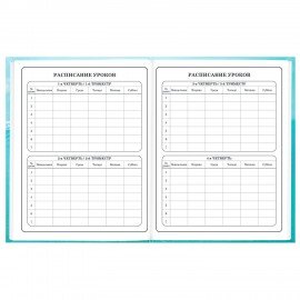 Дневник 1-4 класс 48л, твердый, BRAUBERG, глянцевая ламинация, с подсказом, МИКС УНИВЕРСАЛЬНЫЙ, 107587