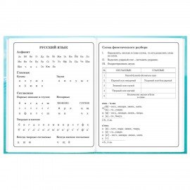 Дневник 1-4 класс 48л, твердый, BRAUBERG, глянцевая ламинация, с подсказом, МИКС УНИВЕРСАЛЬНЫЙ, 107587