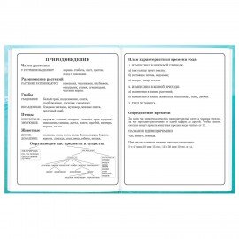 Дневник 1-4 класс 48л, твердый, BRAUBERG, глянцевая ламинация, с подсказом, МИКС УНИВЕРСАЛЬНЫЙ, 107587