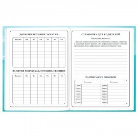 Дневник 1-4 класс 48л, твердый, BRAUBERG, глянцевая ламинация, с подсказом, МИКС УНИВЕРСАЛЬНЫЙ, 107587