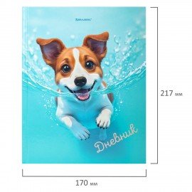 Дневник 1-4 класс 48л, твердый, BRAUBERG, глянцевая ламинация, с подсказом, МИКС УНИВЕРСАЛЬНЫЙ, 107587