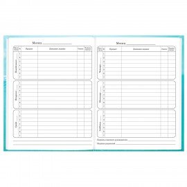 Дневник 1-4 класс 48л, твердый, BRAUBERG, глянцевая ламинация, с подсказом, МИКС УНИВЕРСАЛЬНЫЙ, 107587